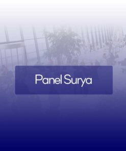 Panel Surya
