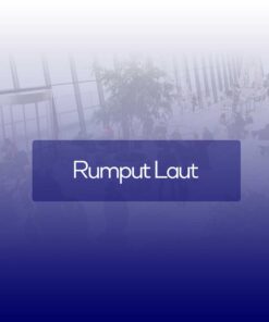 Rumput Laut