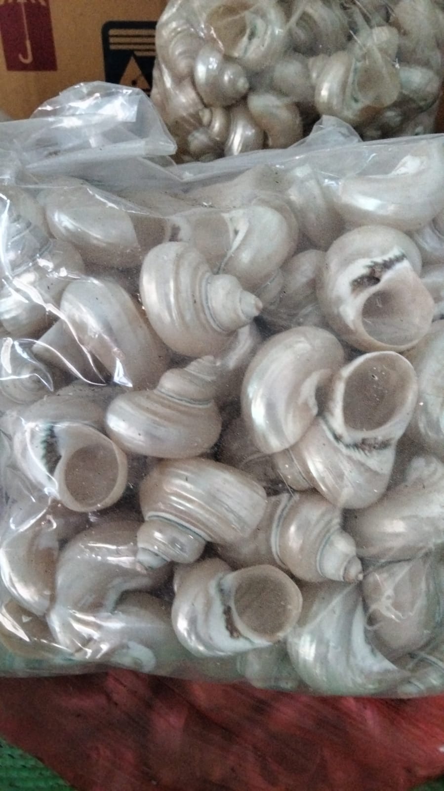 Distributor/Penyedia/Supplier Jual Mata Lembu Silver All Size - Harga Terjangkau dan Kualitas Terbaik