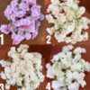 Produsen/Distributor/Supplier/Penyedia/Jual Bunga Sakura Polos Rambat Artificial