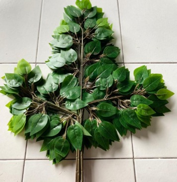 Produsen/Distributor/Supplier/Penyedia/Jual Daun Beringin Tangkai