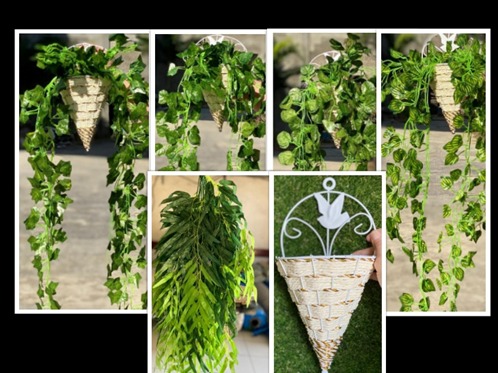 Produsen/Distributor/Supplier/Penyedia/Jual Daun Juntai - Bambu, Semangka, Ivy, Anggur, Anggur Bulat, Pot
