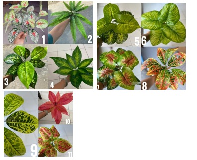 Produsen/Distributor/Supplier/Penyedia/Jual Daun Pot – Pilihan Lengkap untuk Dekorasi