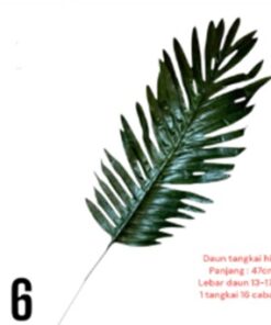 Produsen/Distributor/Supplier/Penyedia/Jual Daun Tangkai Hias