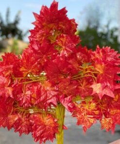 Produsen/Distributor/Supplier/Penyedia/Jual Daun Tangkai Maple Orange