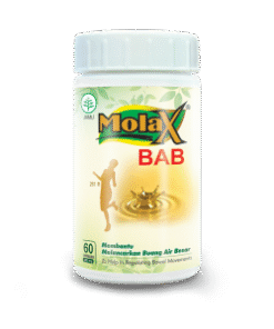 Produsen/Distributor/Supplier/Penyedia/Jual MOLAX BAB Botol 60 kapsul || POM TR 172 307 281