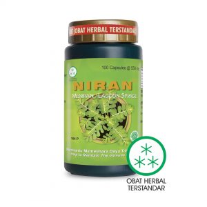 Produsen/Distributor/Supplier/Penyedia/Jual NIRAN 100 KAPSUL – OHT || POM HT 122300231