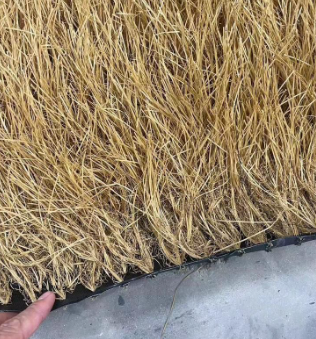 Produsen/Distributor/Supplier/Penyedia/Jual Rumput Jerami, Tinggi 150mm — Pilihan Ideal untuk Dekorasi Alami dan Estetika Ruangan