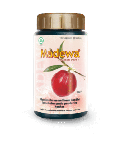 Produsen/Distributor/Supplier/Penyedia/Jual MADEWA 100 KAPSUL || POM TR 052 351 601 – Suplemen Herbal untuk Membantu Memelihara Kondisi Kesehatan pada Penderita Kanker