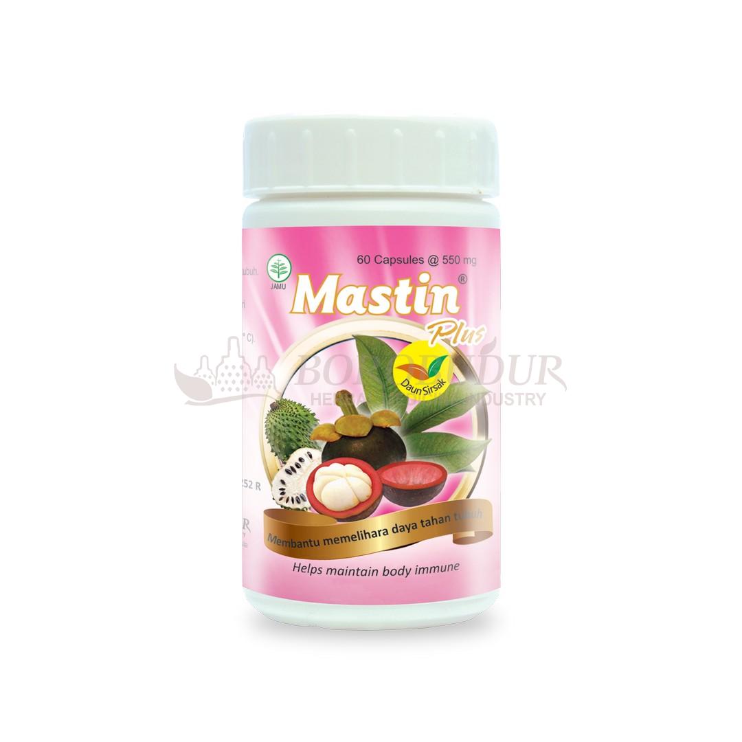 Produsen/Distributor/Supplier/Penyedia/Jual MASTIN PLUS 60 Kapsul || POM TR 142380691 POM TR 142380691