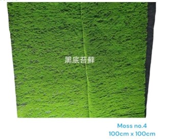 Produsen/Distributor/Supplier/Penyedia/Jual MOSS ARTIFICIAL – Moss No.4 = 374000