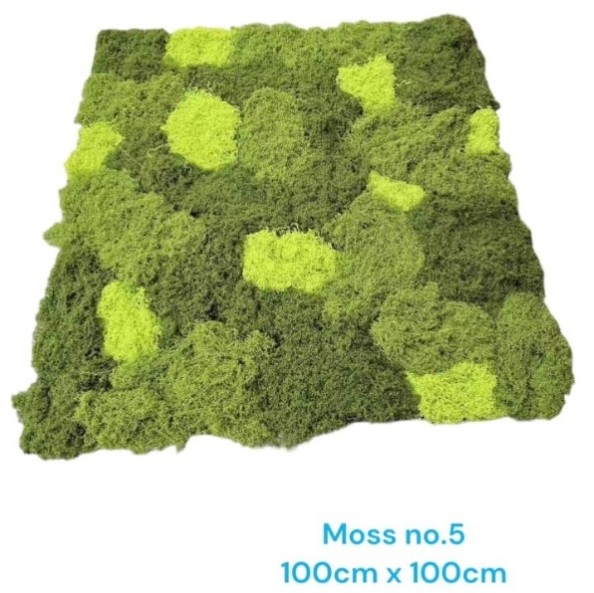 Produsen/Distributor/Supplier/Penyedia/Jual MOSS ARTIFICIAL – Moss No.5 = 374000