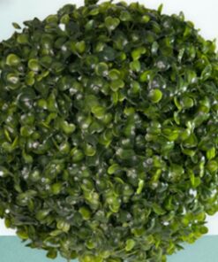 Produsen/Distributor/Supplier/Penyedia/Jual Rumput Bola (Grass Ball) Dekorasi Dinding dan Rumah
