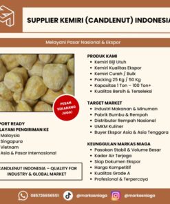 Supplier Kemiri (Candlenut) Indonesia Terpercaya untuk Pasar Nasional & Ekspor