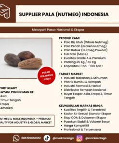 Distributor Rempah Pala Nasional untuk Kebutuhan Industri, Grosir, dan Pasokan Berkelanjutan