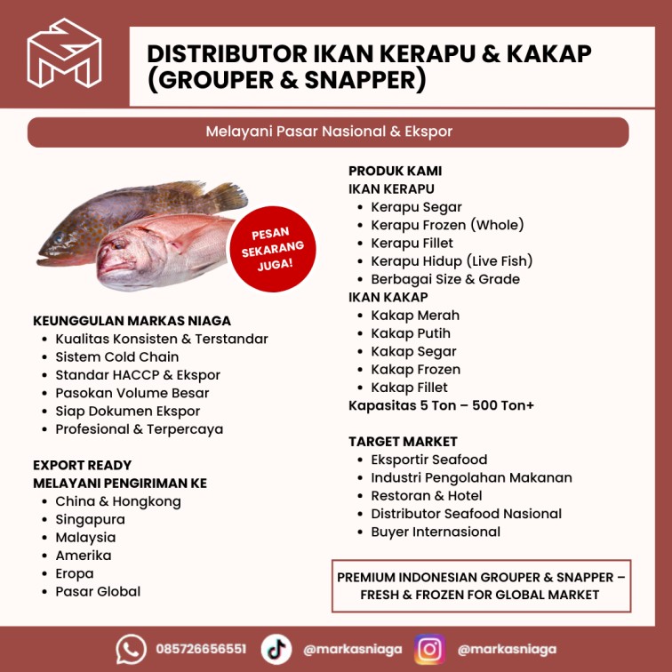 Distributor Ikan Kerapu Frozen