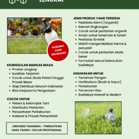 Distributor Pestisida Sintetik Murah untuk Pertanian Modern Berkualitas