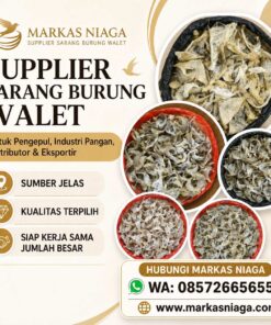 Supplier Sarang Burung Walet Berkualitas untuk Pengepul, Industri, Distributor, dan Eksportir
