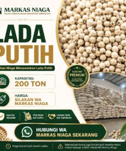 Supplier Lada Putih 200 Ton – Markas Niaga