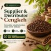 Supplier & Distributor Cengkeh Berkualitas untuk Lokal, Grosir & Ekspor