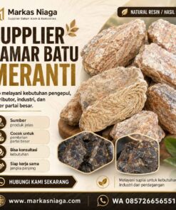 Supplier Damar Batu Meranti untuk Kebutuhan Industri dan Perdagangan