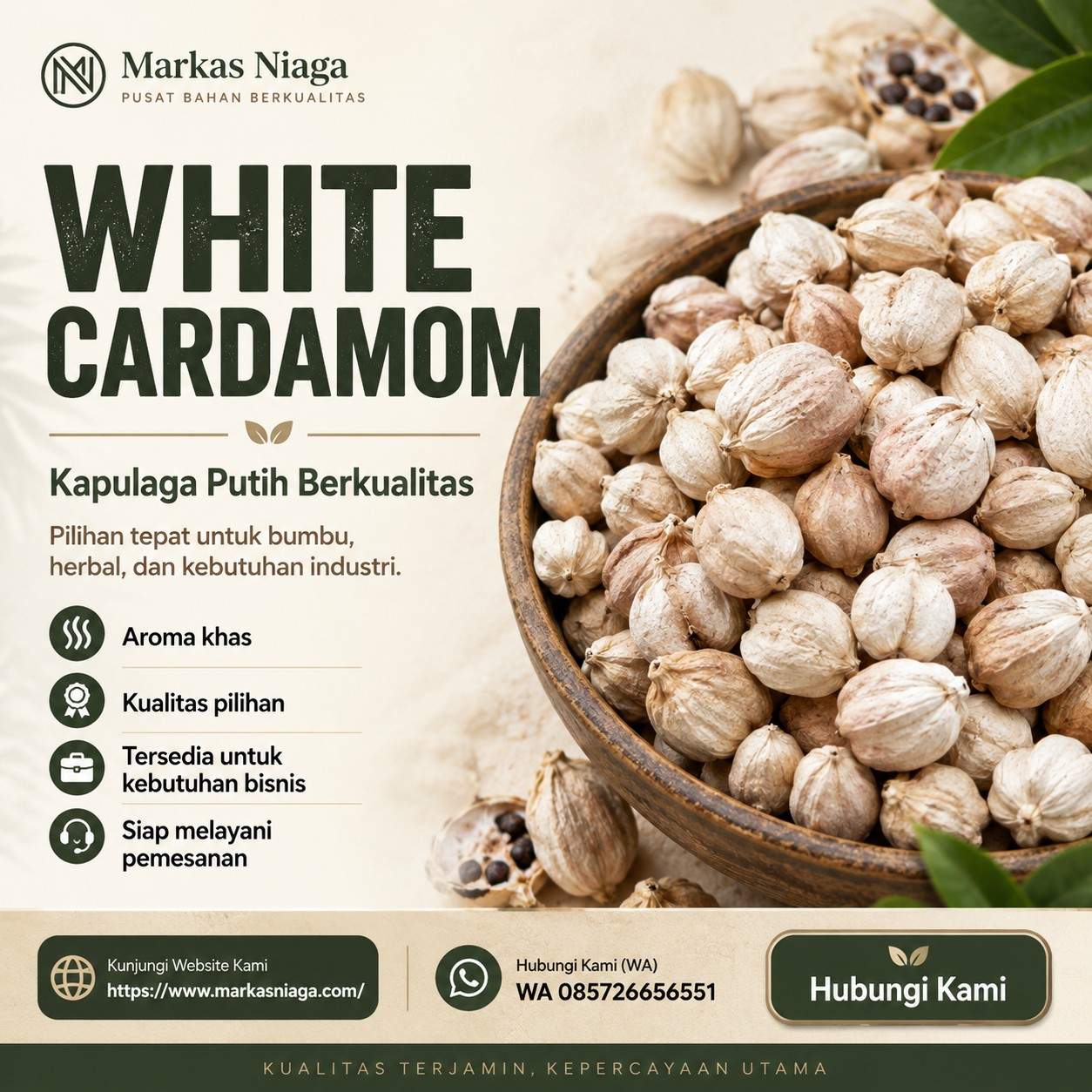 Jual White Cardamom / Kapulaga Putih Berkualitas untuk Bumbu, Herbal, dan Kebutuhan Industri
