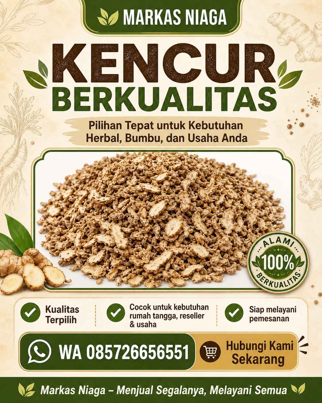 Supplier Kencur Berkualitas untuk Herbal, Bumbu, dan Industri – Markas Niaga