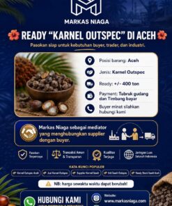 Kernel Sawit / Inti Sawit